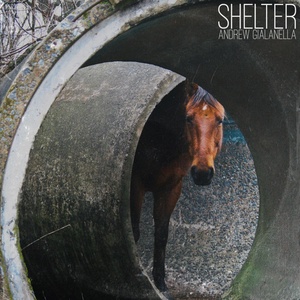 Обложка для Andrew Gialanella - Shelter
