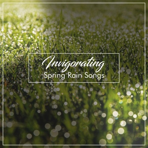Обложка для Mother Nature Sound FX, Lush Rain Creators, Rest & Relax Nature Sounds - Background Rain