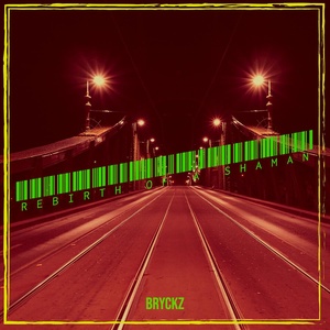Обложка для BRYCKZ - Soul Brudda