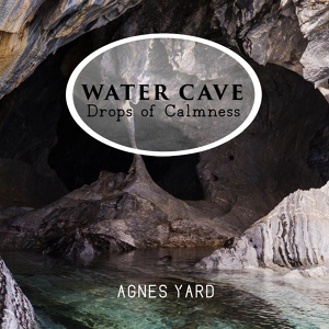 Обложка для Agnes Yard - Secrets of Water