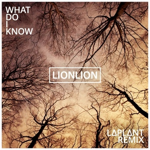 Обложка для LIONLION - What Do I Know