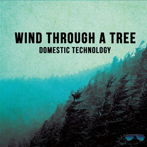 Обложка для Domestic Technology - Wind Through a Tree