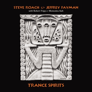 Обложка для Steve Roach feat. Jeffrey Fayman - Seekers
