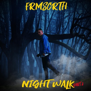 Обложка для FRMSCRTH - Night Walk, Pt. 2