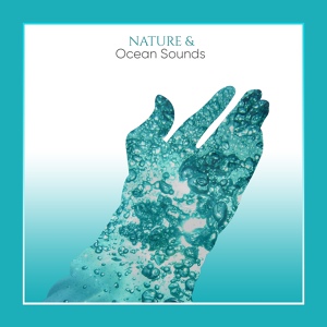 Обложка для Zen Music Garden, Nature Sounds, White Noise Research - White Noise