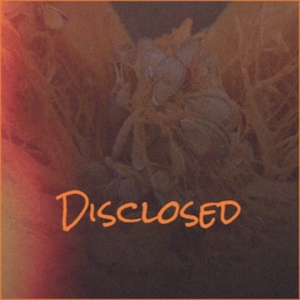 Обложка для Alvar - Disclosed