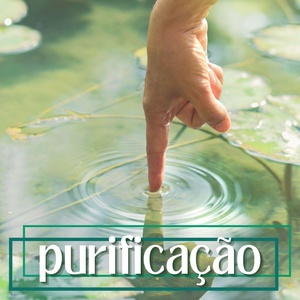 Обложка для Purificação Pereira - Paz no Coração