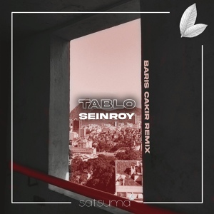 Обложка для SEINROY - Tablo