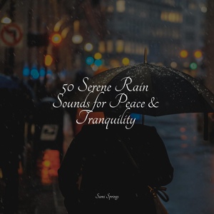 Обложка для Sleep Tight, Nature and Rain, Yoga Music - Stream, Close, Fast, Ripple