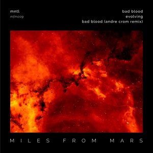 Обложка для MNTL, Montel - Bad Blood (Original Mix)