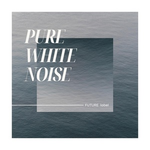 Обложка для FUTURE LABEL - Pure White Noise