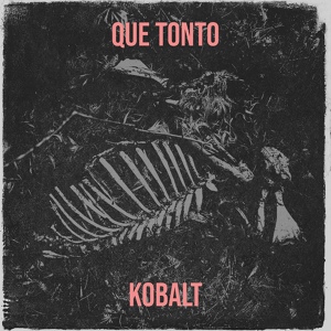 Обложка для Kobalt - Que Tonto