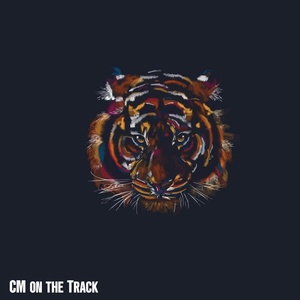 Обложка для CM ON THE TRACK - Tiger (Hiphop Instrumental)