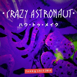 Обложка для Crazy Astronaut - Funky Shit 2014
