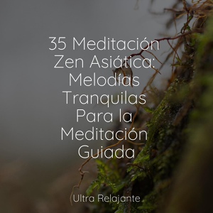 Обложка для Musica para Meditar Especialistas, Naturaleza Relajacion, Massagem - Canciones De Cuna Con Encanto