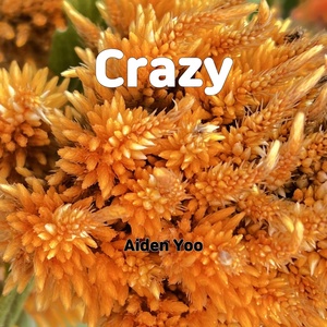 Обложка для Aiden Yoo - Crazy