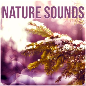 Обложка для Serenity Nature Sounds Academy - Serenity Spa