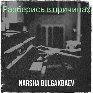 Обложка для Narsha Bulgakbaev - Разберись в причинах