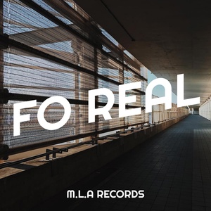 Обложка для M.L.A Records - Fo Real