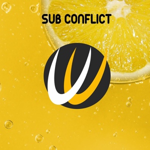 Обложка для Sub Conflict - You Got Me