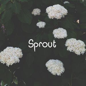 Обложка для Mava - Sprout