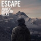 Обложка для Escape - Crazy Day