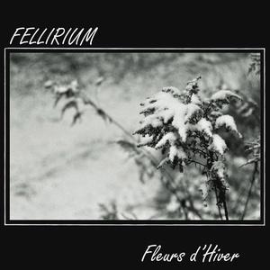 Обложка для Fellirium - Thin Ice
