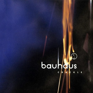 Обложка для Bauhaus - The Passion of Lovers