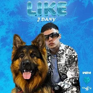 Обложка для J Dany - Like