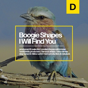 Обложка для Boogie Shapes - I Will Find You