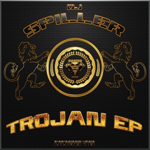 Обложка для DJ Spiller - Drop That Shit
