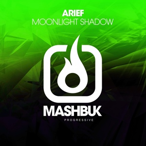 Обложка для Arief - Moonlight Shadow