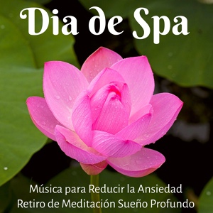 Обложка для Yoga Para Embarazadas - Musica para Relajarse (Meditación con Raja Yoga Music)