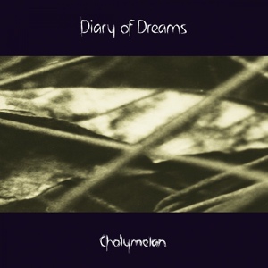Обложка для Diary of Dreams - Winter's Decay