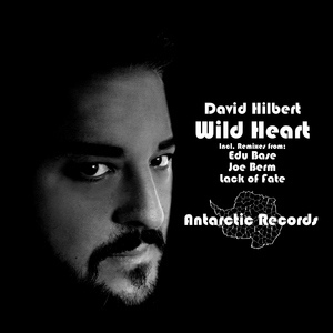 Обложка для David Hilbert - Wild Heart