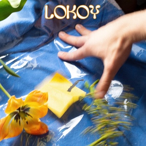 Обложка для Lokoy, Moyka - murder in my mind