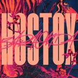 Обложка для Hostox - Visul din oglinzi