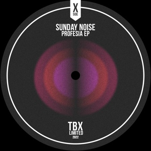 Обложка для Sunday Noise - Paz