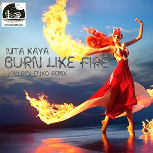 Обложка для NITA Kaya - Burn Like Fire (Dmitrichenko Remix)