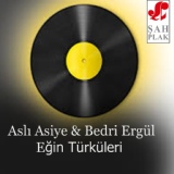 Обложка для Aslı Asiye, Bedri Ergül - Haydi