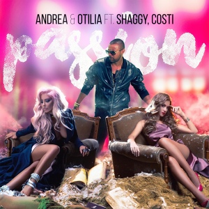 Обложка для Andrea, Otilia feat. Shaggy, Costi - Passion