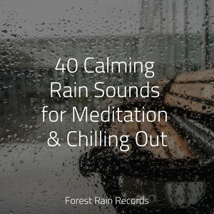 Обложка для Calming Sounds, Rain Sound Plus, Sleep Songs with Nature Sounds - Rain Flows