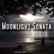 Обложка для Moonlight Sonata Moods - Gymnopedie 2