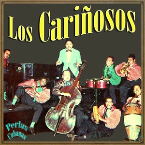 Обложка для Los Cariñosos - La Perturbadora