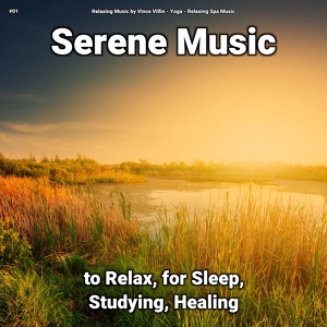 Обложка для Relaxing Music by Vince Villin, Yoga, Relaxing Spa Music - Calm Music