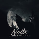 Обложка для Native Shamanic Zone, Native American Music Consort - Noite Xamânica