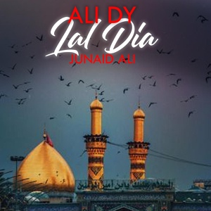 Обложка для Junaid Ali - Ali Dy Lal Dia