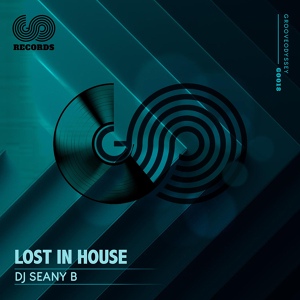 Обложка для DJ Seany B - Lost in the House