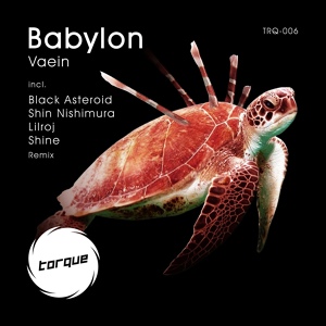 Обложка для Vaein - Babylon