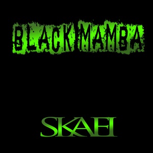 Обложка для Skaei - Black Mamba